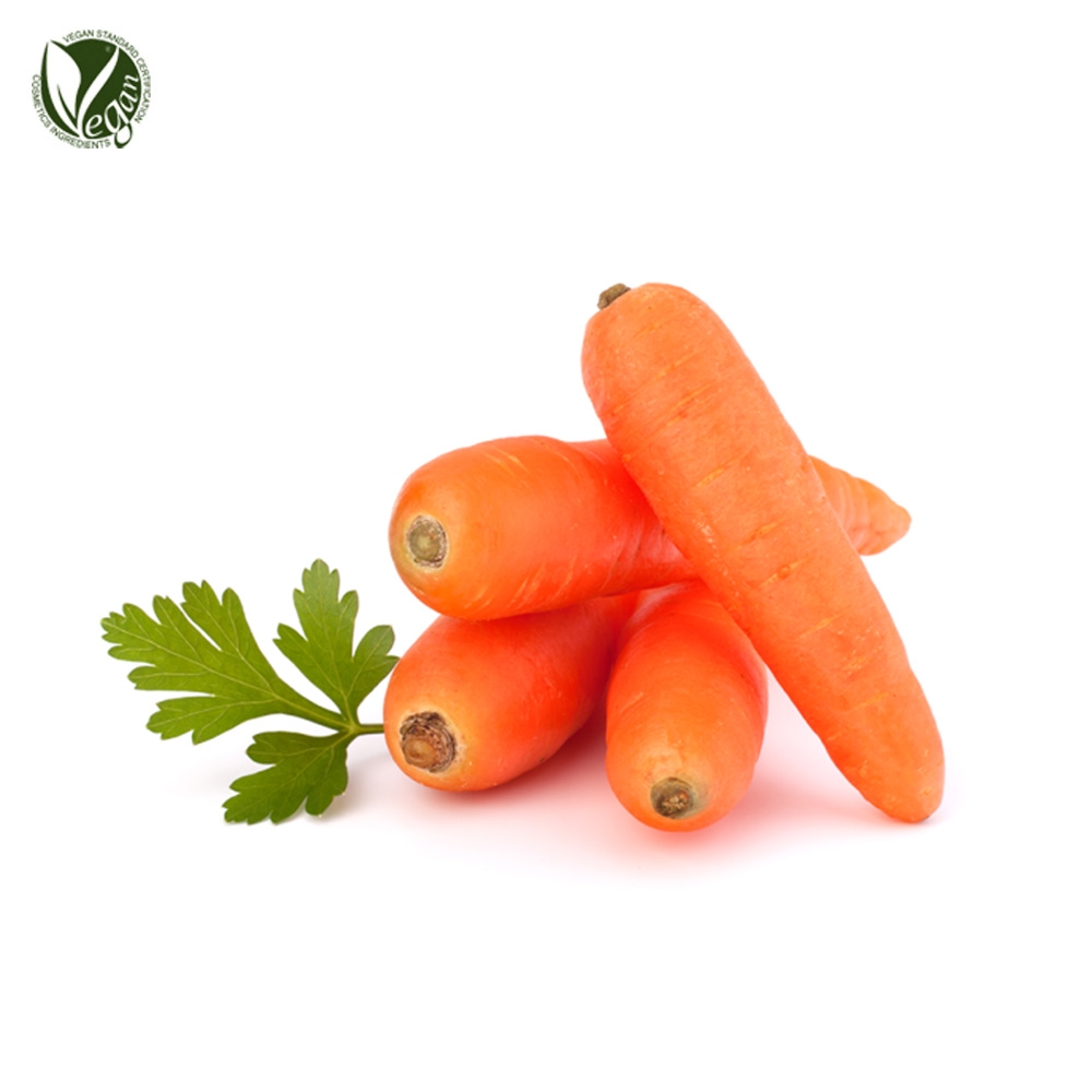 당근추출물 (Daucus Carota Sativa (Carrot) Root Extract)