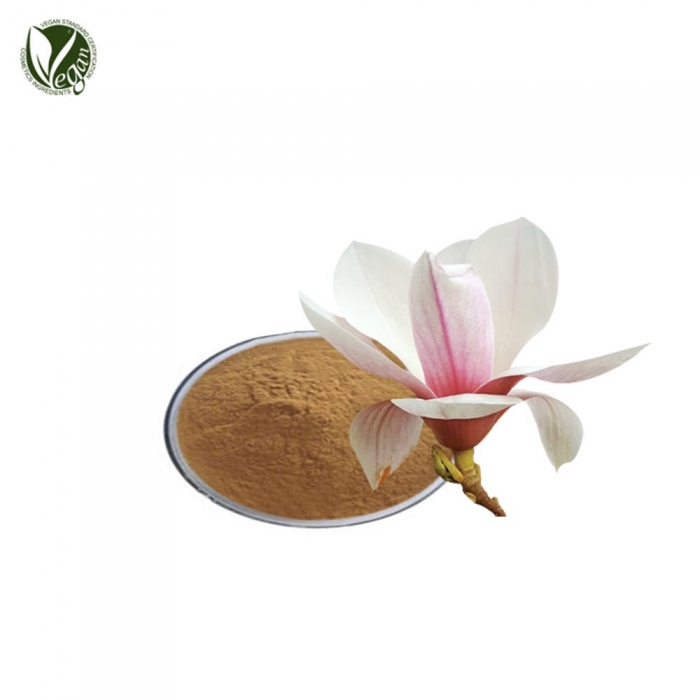 백목련싹가루 (Magnolia Denudata Bud Powder)