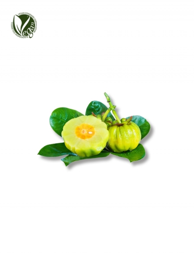 Garcinia Fruit Extract