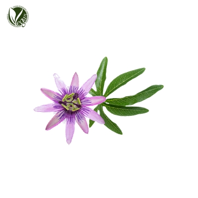 시계꽃추출물 (Passiflora Incarnata Extract)