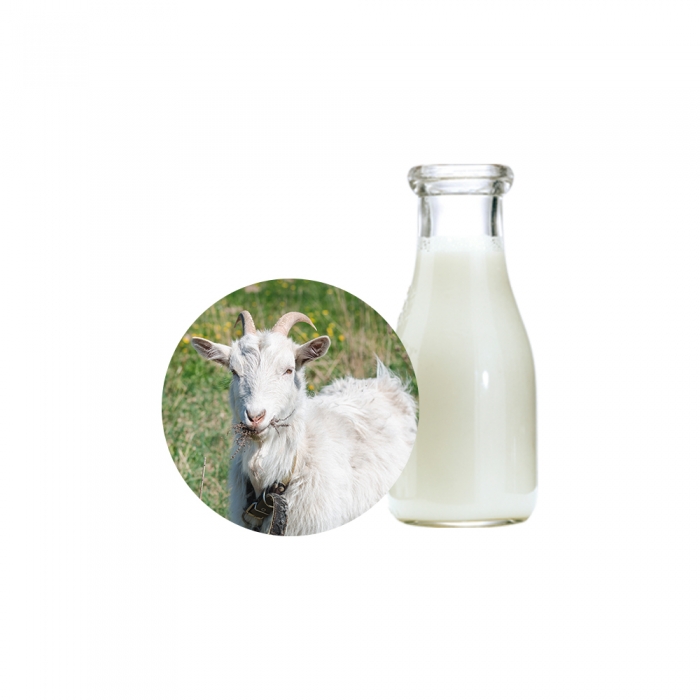 산양유추출물 (Goat Milk Extract)