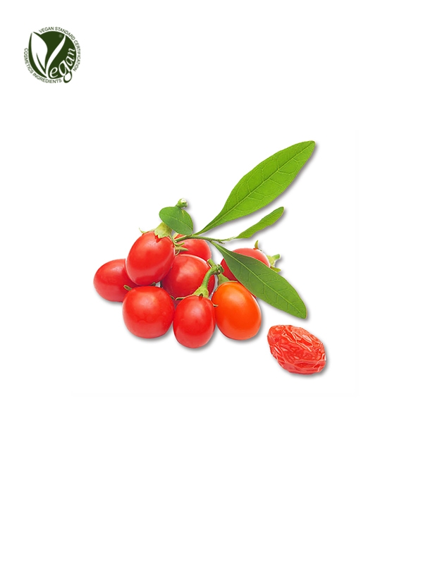Wolfberry Fruit Extract