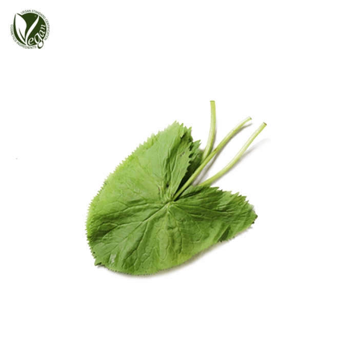 곰취잎추출물 (Ligularia Fishceri Leaf Extract)