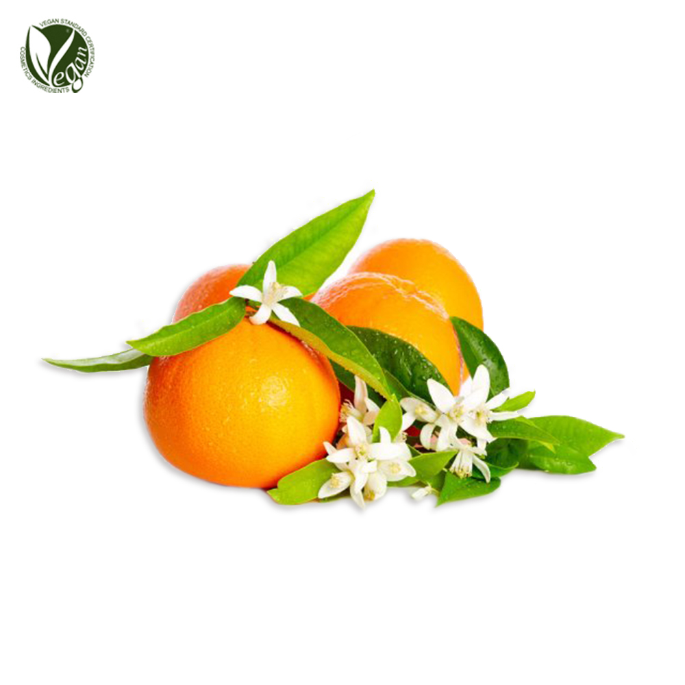 비터오렌지꽃추출물 (Citrus Aurantium Amara (Bitter Orange) Flower Extract)
