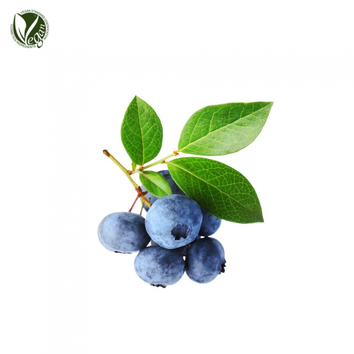 빌베리열매/잎추출물 (Vaccinium Myrtillus Fruit/Leaf Extract)