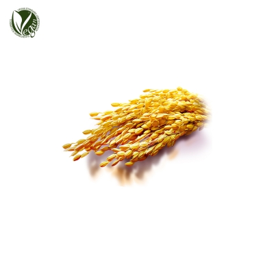 쌀겨추출물 (Oryza Sativa(Rice) Bran Extract)