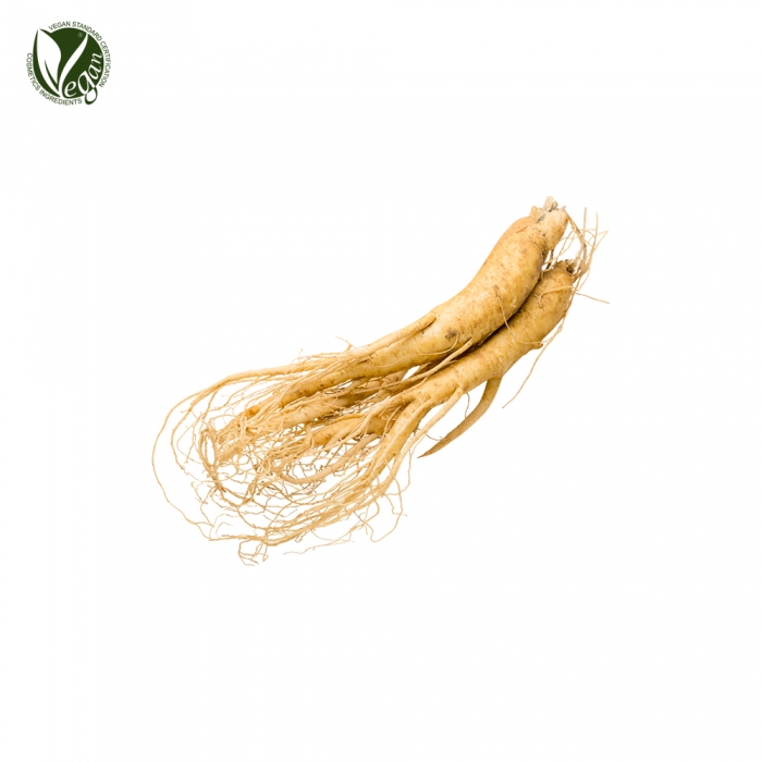 인삼추출물 (Panax Ginseng Root Extract)