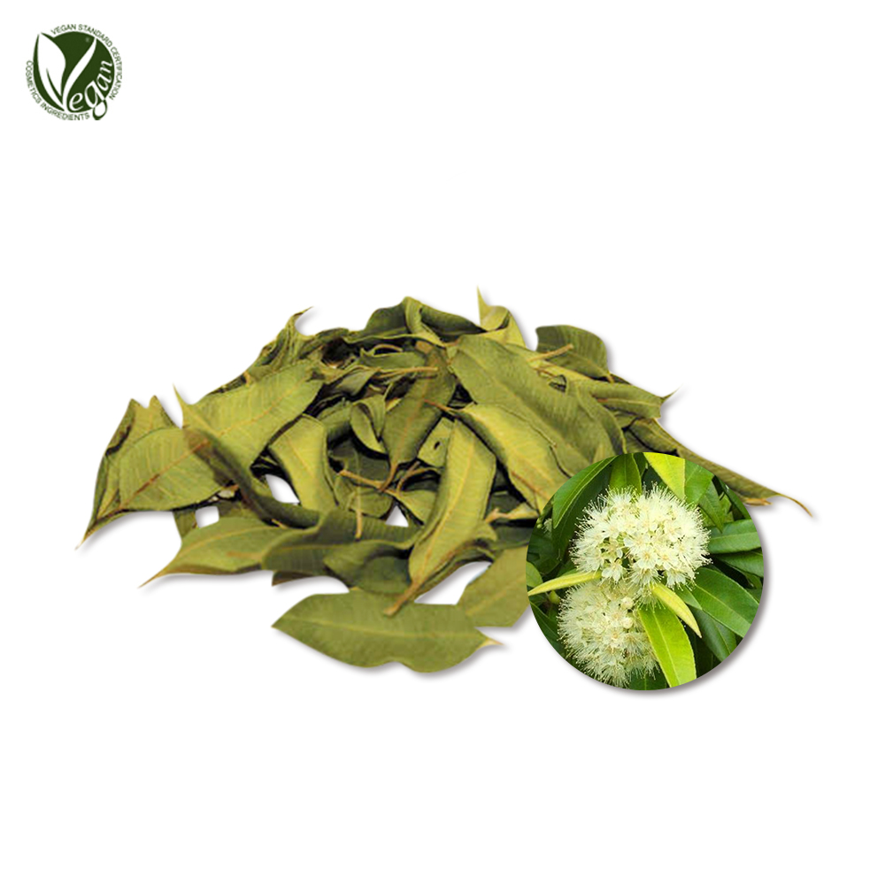 레몬머틀잎추출물 (Backhousia Citriodora Leaf Extract)