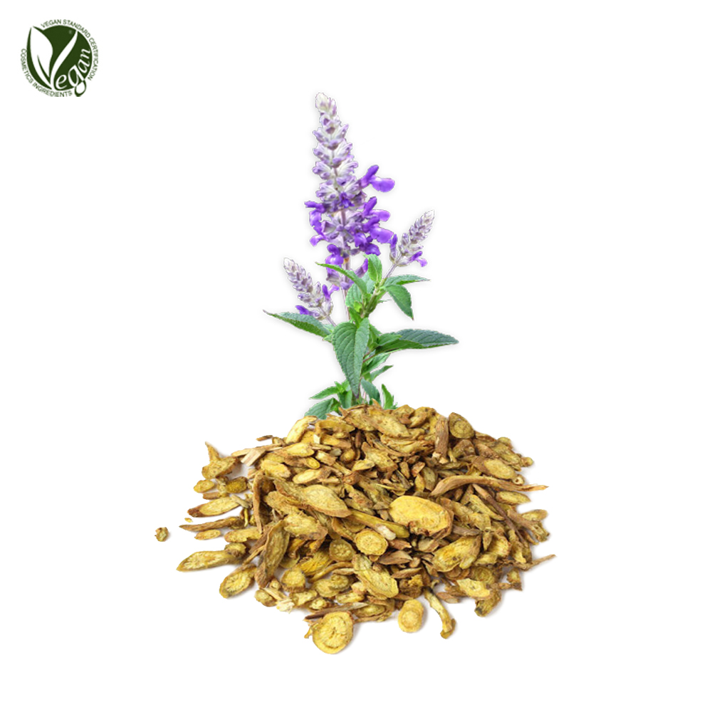 황금추출물 (Scutellaria Baicalensis Root Extract)