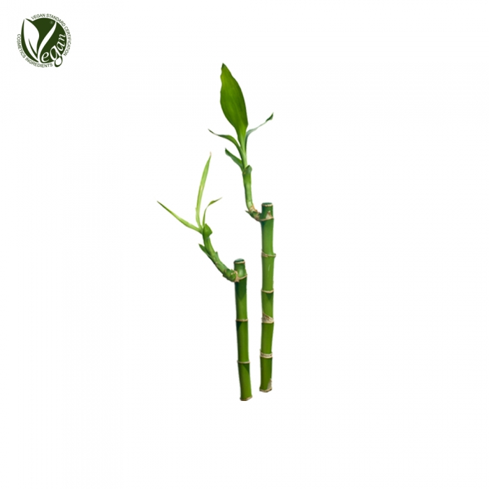 대나무목초액 (Bamboo Vinegar)