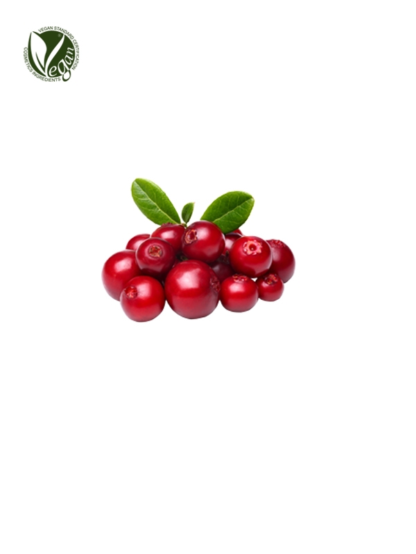 Lingonberry Fruit Extract