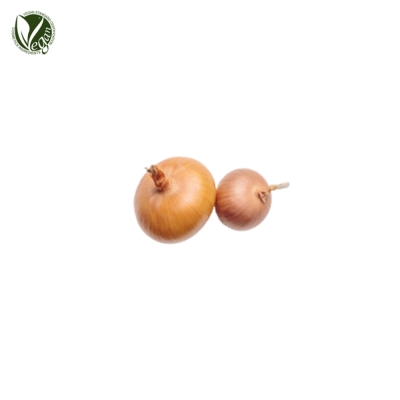 양파추출물 (Allium Cepa (Onion) Bulb Extract)