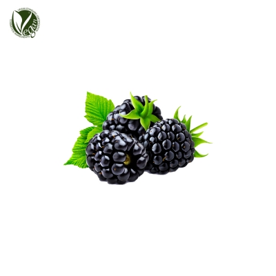 수리딸기추출물 (Rubus Villosus(Blackberry) Fruit Extract)