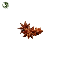 스타아니스추출물 (Illicium Verum Fruit Extract)