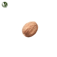 육두구추출물 (Myristica Fragrans (Nutmeg) Extract)