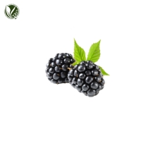서양산딸기추출물 (Rubus Fruticosus (Blackberry) Fruit Extract)