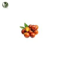 호호바오일 (Simmondsia Chinensis (Jojoba) Seed Oil)