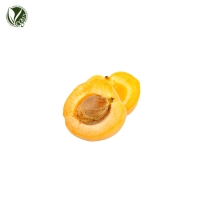 살구씨오일 (Prunus Armeniaca (Apricot) Kernel Oil)