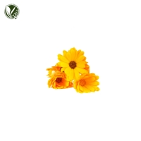 포트마리골드꽃오일 (Calendula Officinalis Flower Oil)