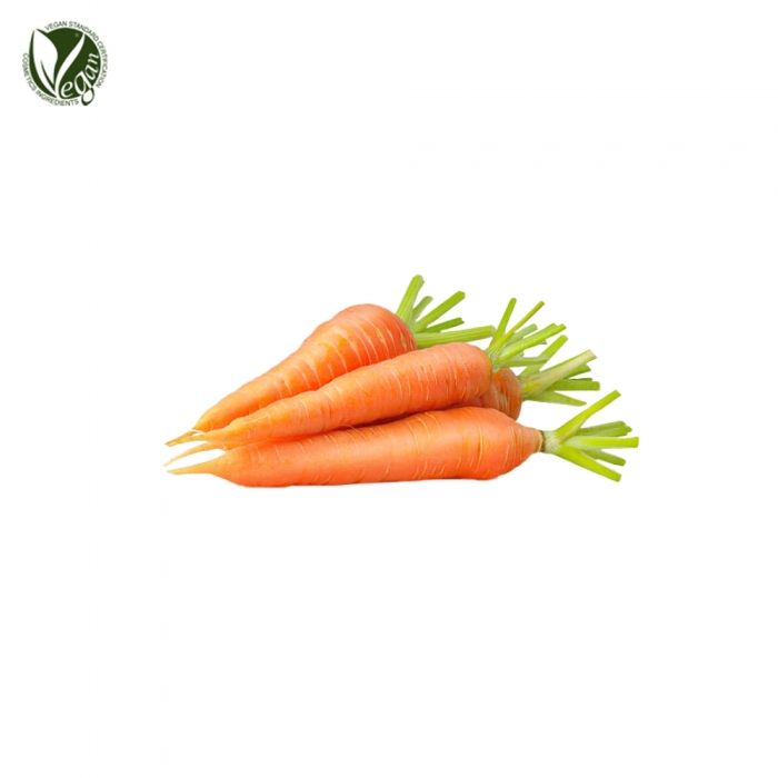 당근씨오일 (Daucus Carota Sativa (Carrot) Seed Oil)