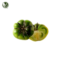 그린토마토추출물 (Solanum Lycopersicum (Tomato) Fruit Extract)