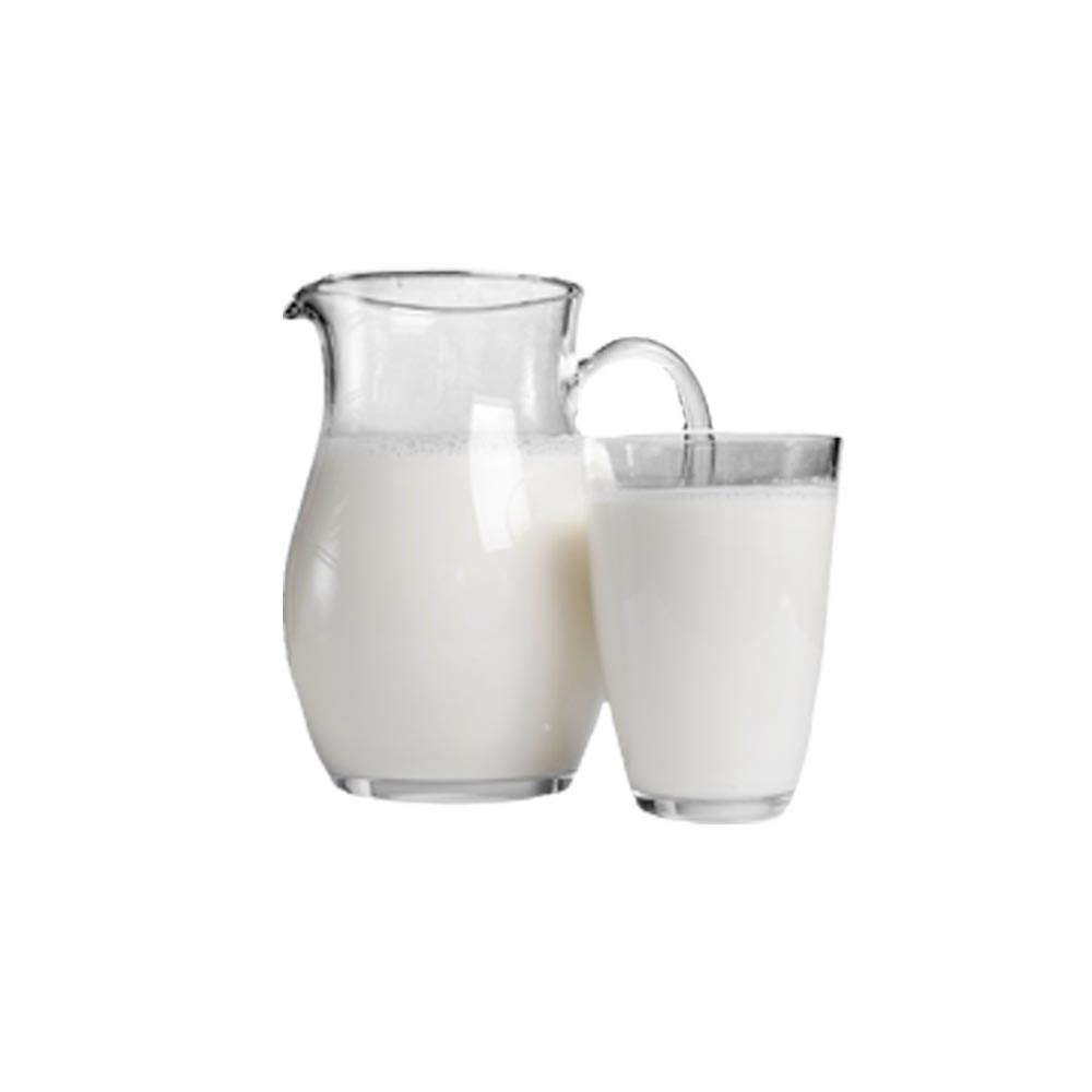 우유단백질추출물 (Milk Protein Extract)