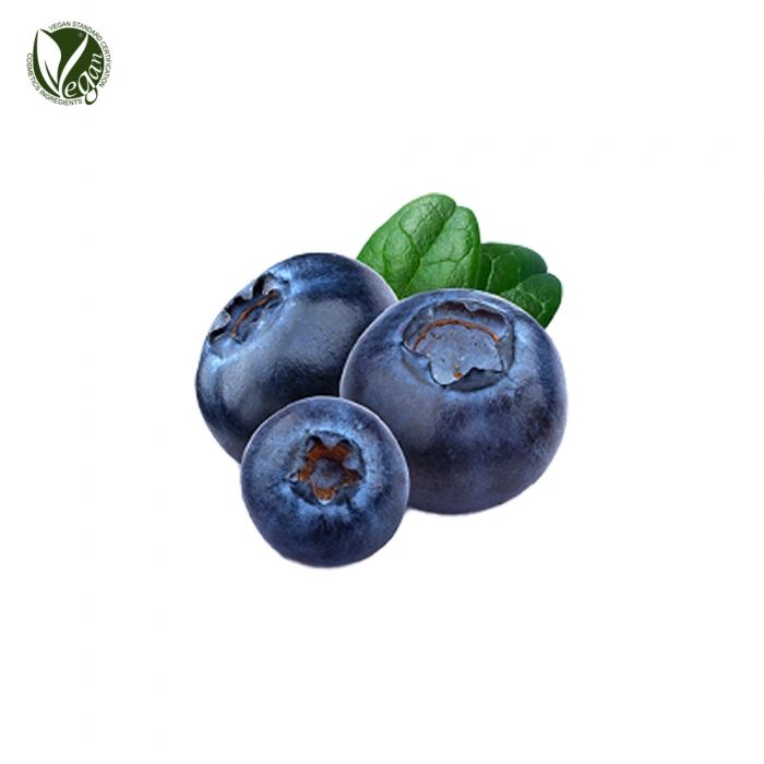 아로니아열매추출물 (Aronia Melanocarpa Fruit Extract)