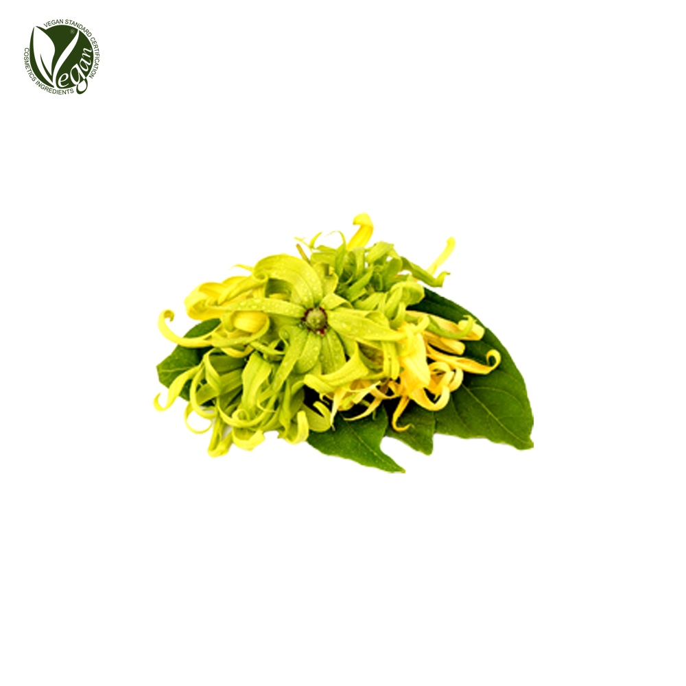 일랑일랑오일 (Ylang Ylang , essential Oil)