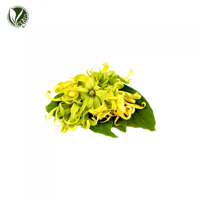 일랑일랑오일 (Ylang Ylang , essential Oil)