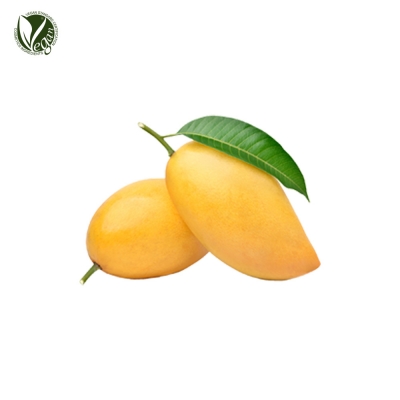 망고버터 (Mangifera Indica (Mango) Seed Butter)