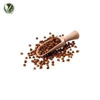 메밀씨추출물 (Polygonum Fagopyrum (Buckwheat) Seed Extract)