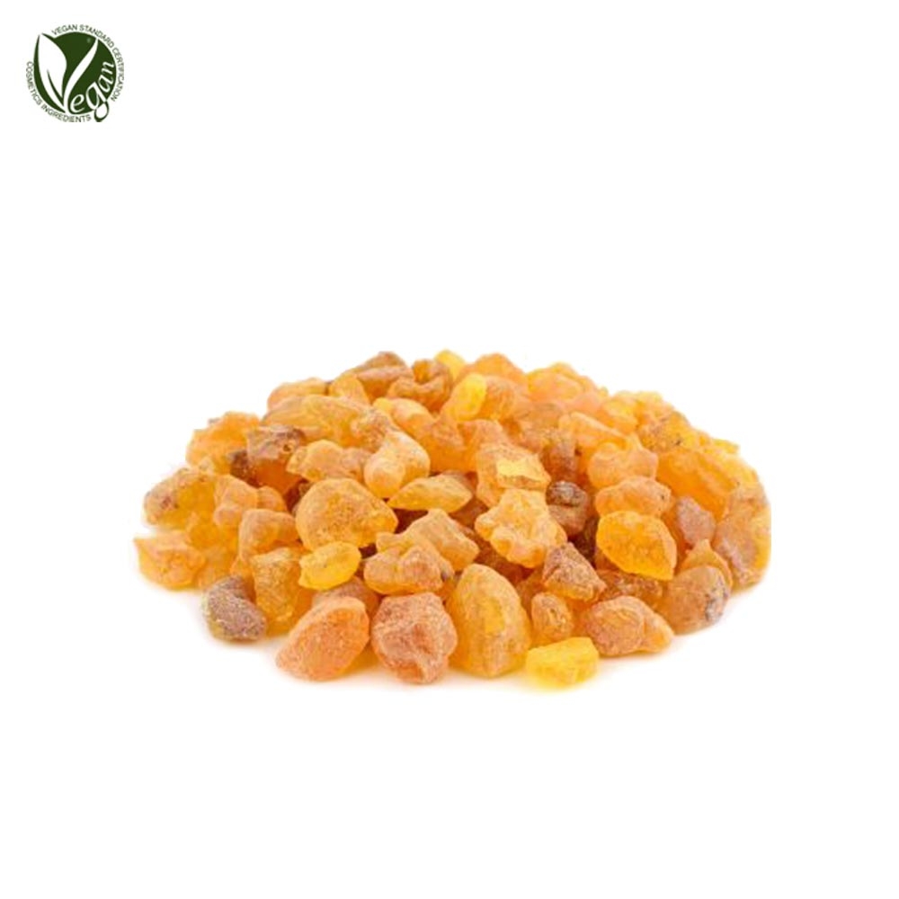 보스웰리아수지추출물 (Boswellia Serrata Resin Extract)