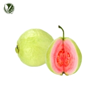 구아바추출물 (Psidium Guajava Fruit Extract)