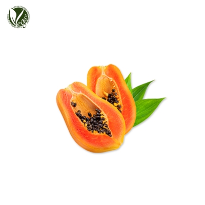 파파인추출물 (Papain)