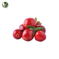 크랜베리파우더 (Vaccinium Macrocarpon (Cranberry) Seed Powder)
