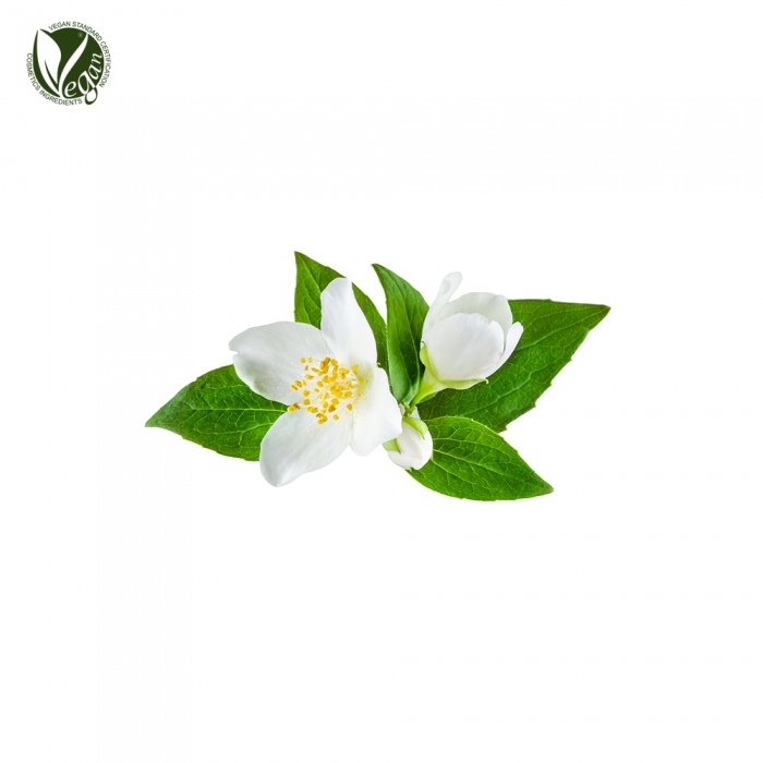 커먼자스민꽃수 (Jasminum Officinale (Jasmine) Flower Water)