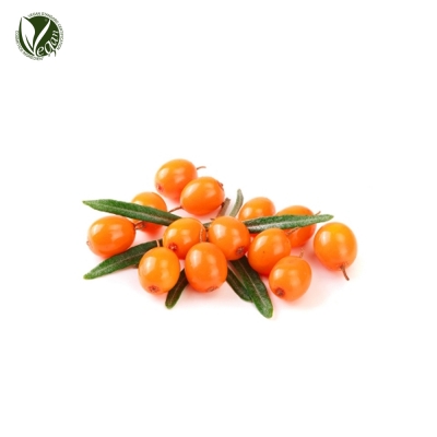 SEABUCKTHORN FRUIT PULP, COLD PRESSED (씨벅턴오일/Hippophae Rhamnoides Fruit Oil)