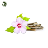 무궁화나무껍질추출물 (Hibiscus Syriacus Bark Extract)