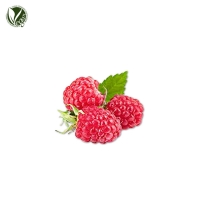 멍석딸기추출물 (Rubus Parvifolius Fruit Extract)