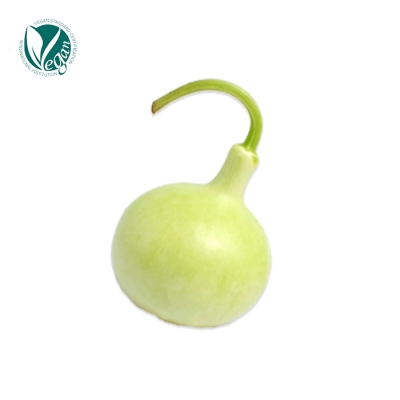 박추출물 (Cucurbitaceae (Gourd) Extract)