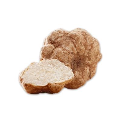 흰서양송로추출물 (Tuber Magnatum Extract)