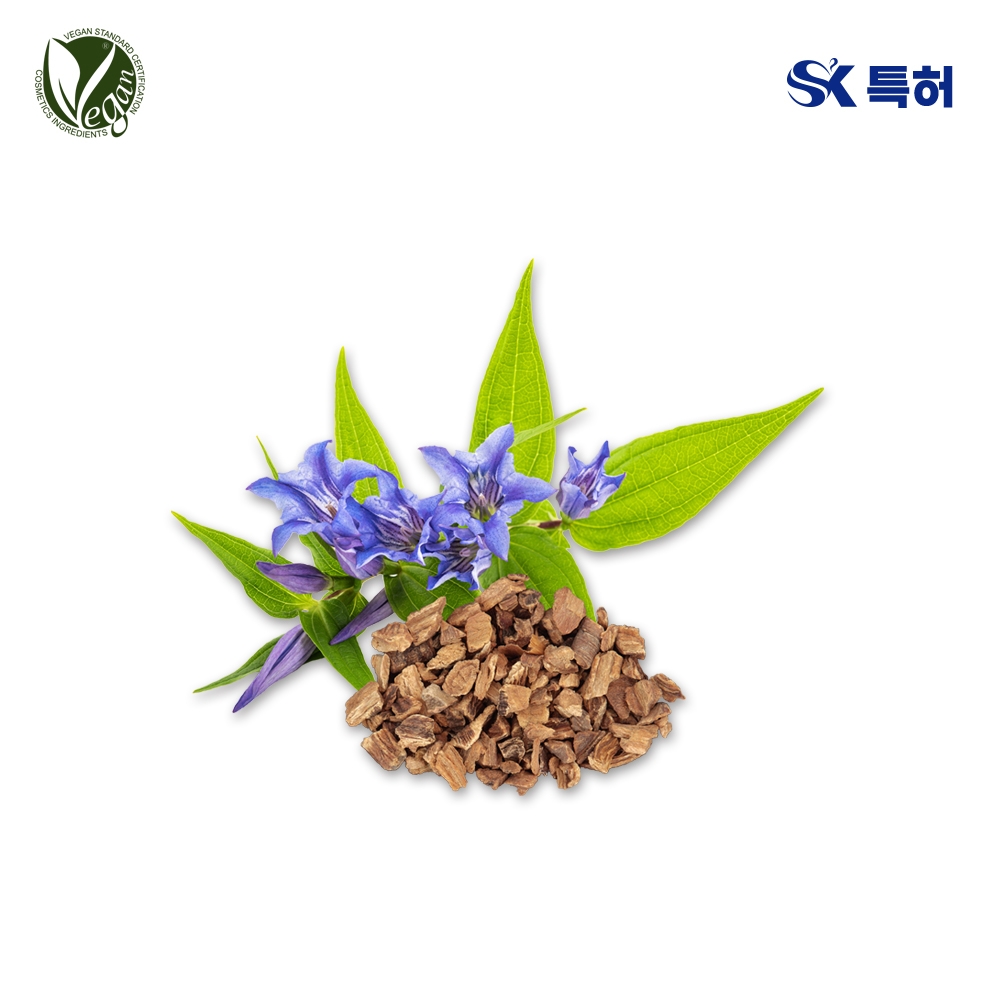 진교추출물 (Gentiana Macrophylla Root Extract)