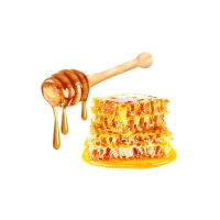 메밀꿀추출물 (Honey Extract)