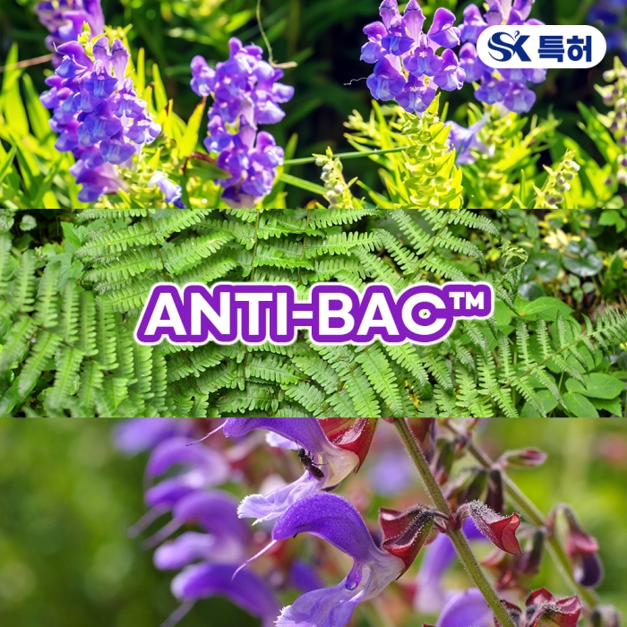 ANTI-BAC (황금/관중/단삼)