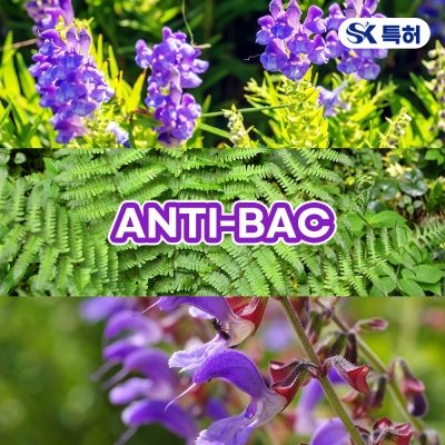 ANTI-BAC (황금/관중/단삼)