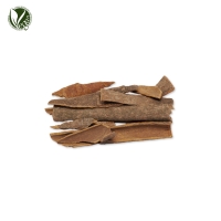 녹나무껍질추출물 (Cinnamomum Camphora (Camphor) Bark Extract)