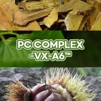 PC COMPLEX™ (호장근뿌리/감나무잎/율피)