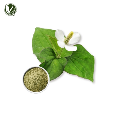 Houttuynia Cordata Powder