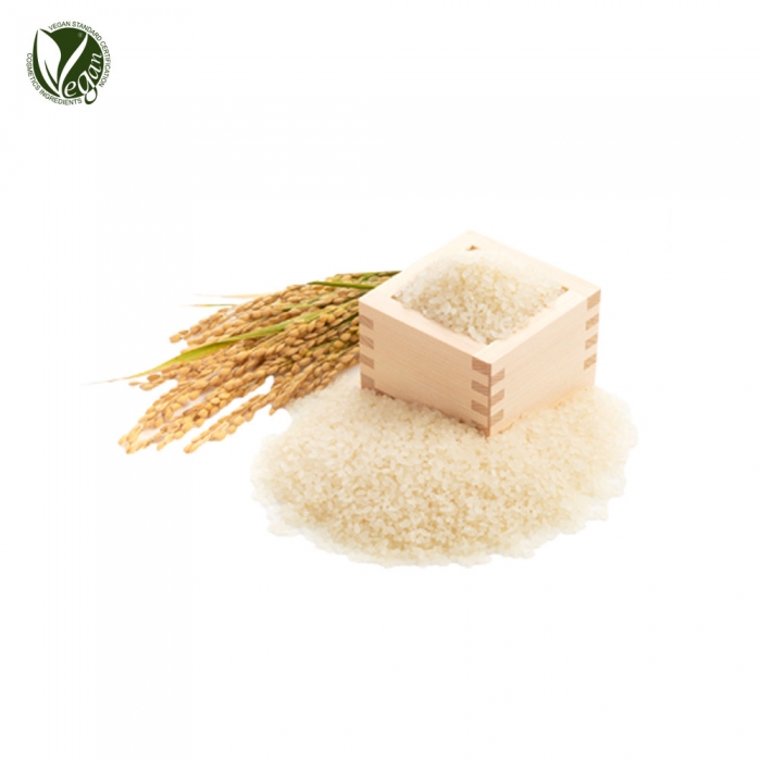 쌀추출물 (Oryza Sativa (Rice) Extract)