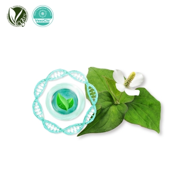 VexoClo® Heartleaf (Houttuynia Cordata Vesicles)